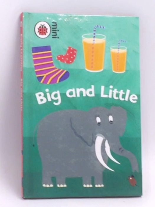 Early Learning: Big and Little - Hardcover - Mark Airs  (Illustrator)