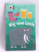 Early Learning: Big and Little - Hardcover - Mark Airs  (Illustrator)