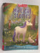 Magical Stories - Belinda GALLAGHER; 