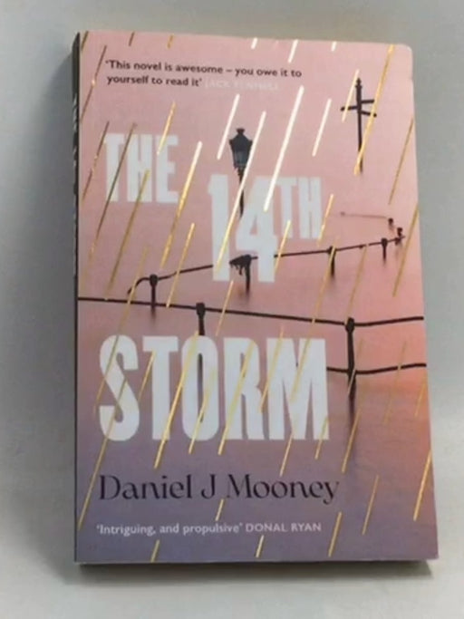 The 14th Storm - Daniel J. Mooney