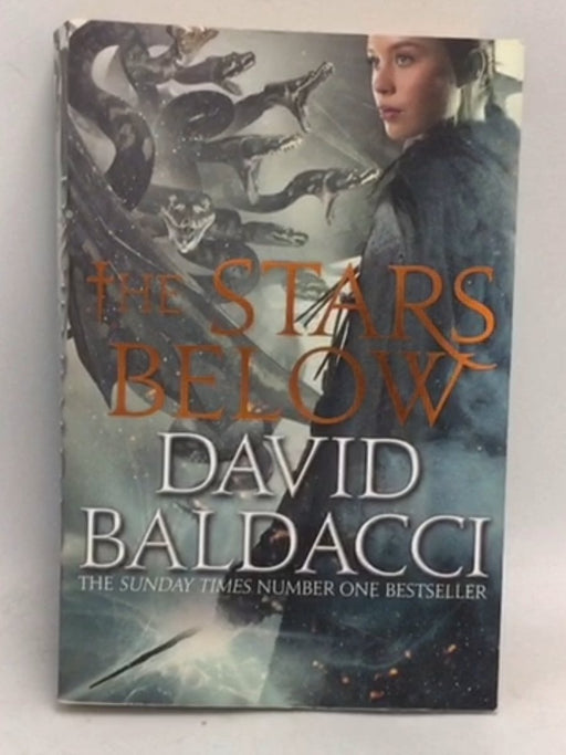 The Stars Below  Vega Jane #4 - David Baldacci