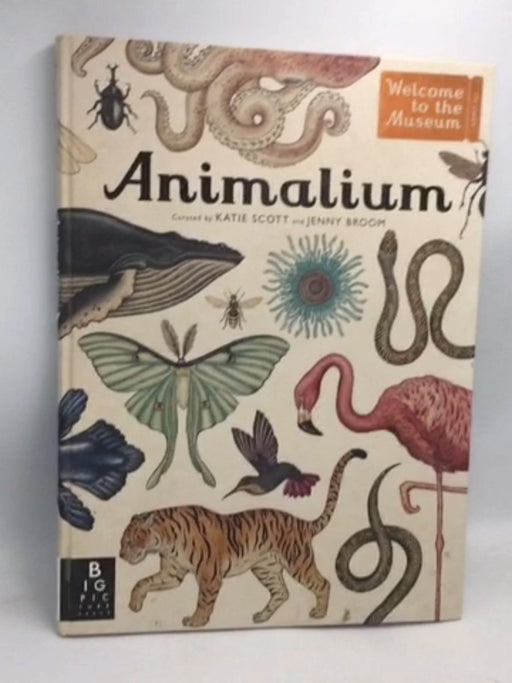 Animalium- [Hardcover] - Katie Scott