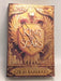 King of Scars - Leigh Bardugo; 