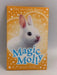 Magic Molly The Invisible Bunny   - Holly Webb
