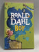 Boy - Roald Dahl
