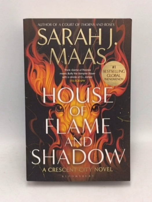 House of Flame and Shadow - Sarah J. Maas; 