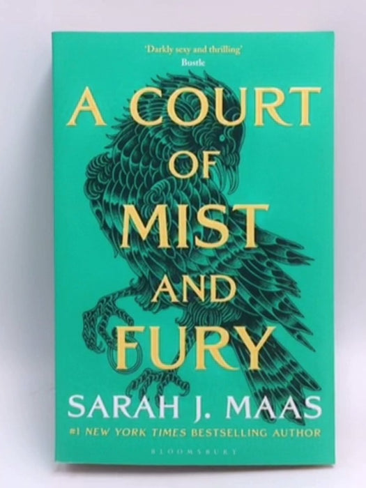 A Court of Mist and Fury - Sarah J. Maas; 