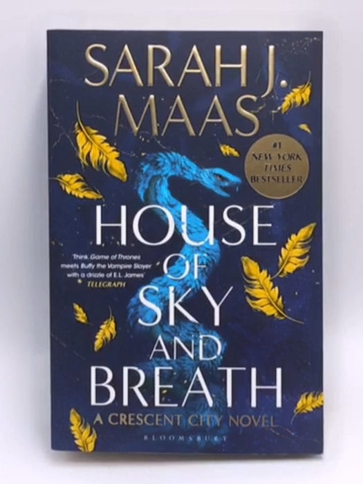 House of Sky and Breath - Sarah J. Maas; 