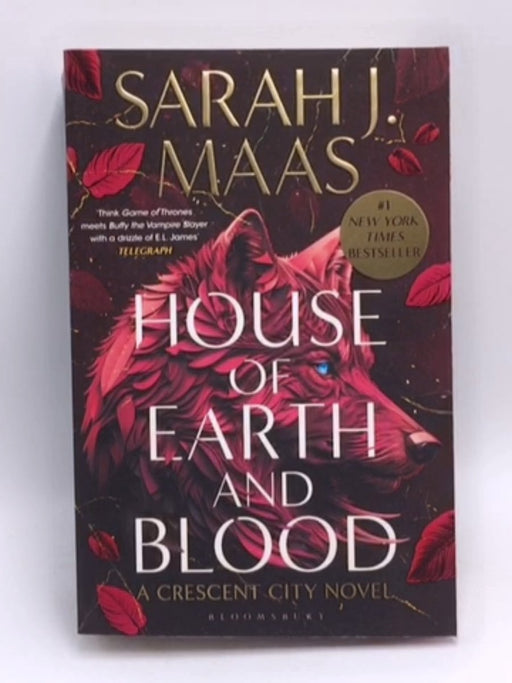 House of Earth and Blood - Sarah J. Maas 