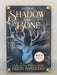 Shadow and Bone - Leigh Bardugo; 