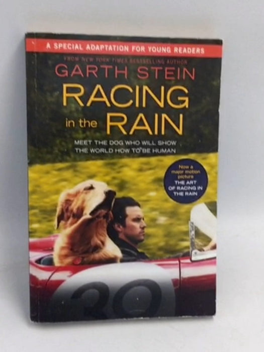 Racing in the Rain - Garth Stein