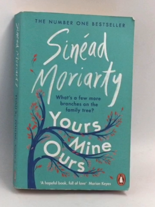 Yours, mine, ours - Sinéad Moriarty