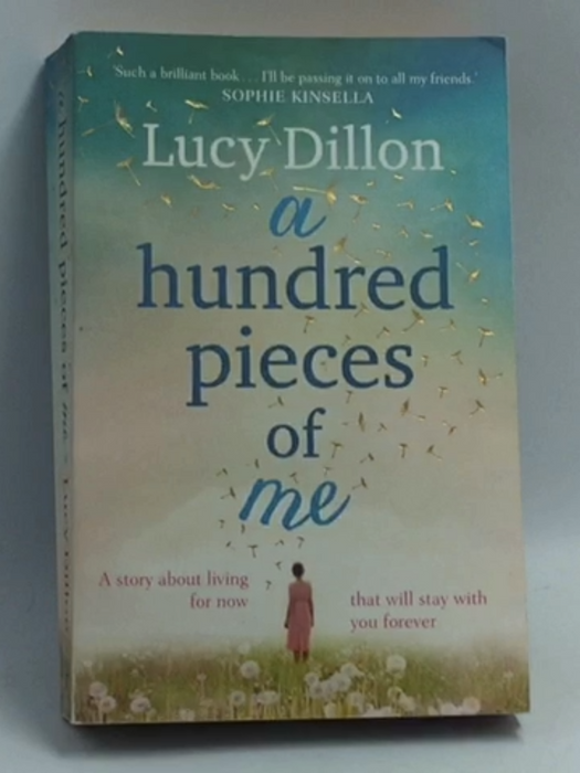 A Hundred Pieces of Me - Lucy Dillon; 
