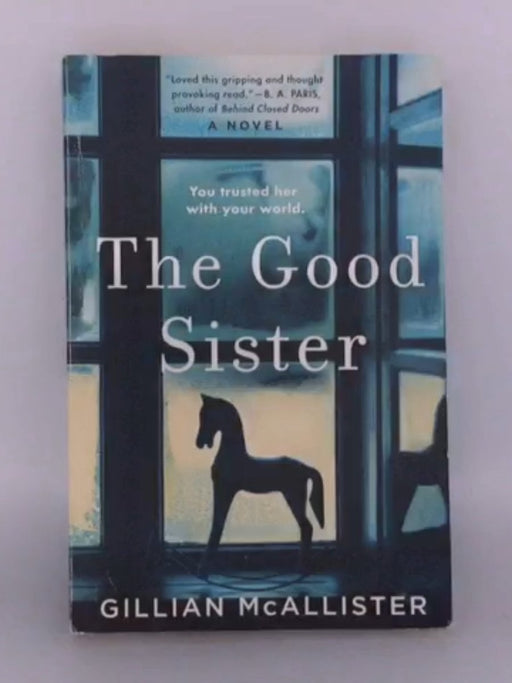 The Good Sister - Gillian McAllister; 