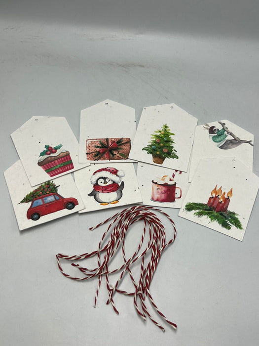 Plantable Christmas Gift Tags - 