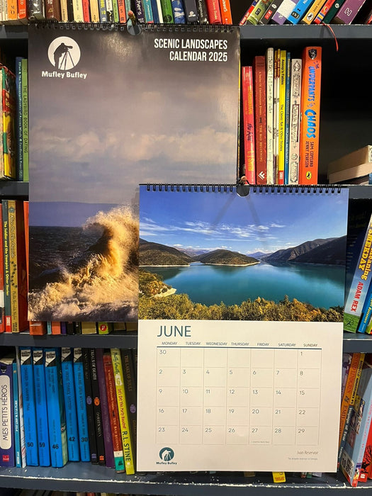 Scenic Landscapes Calendar 2025 - 