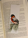 Robin Watercolor Bookmark - 