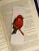 Finch Watercolor Bookmark - 