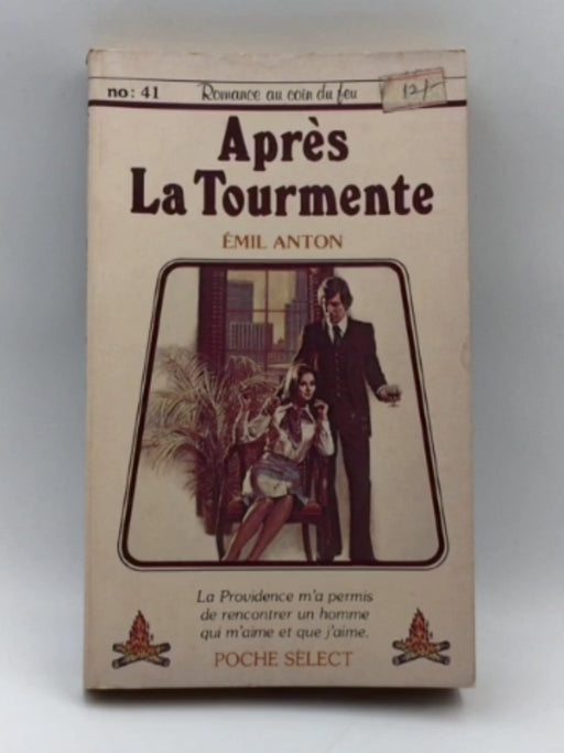 Apres La Tourmente (Number 41- Romance au coin du feu) Online Book Store – Bookends