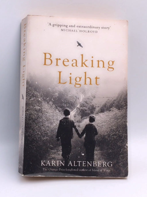 Breaking Light - Karin Altenberg; 