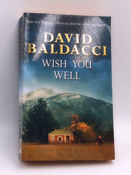 Wish You Well - David Baldacci; 