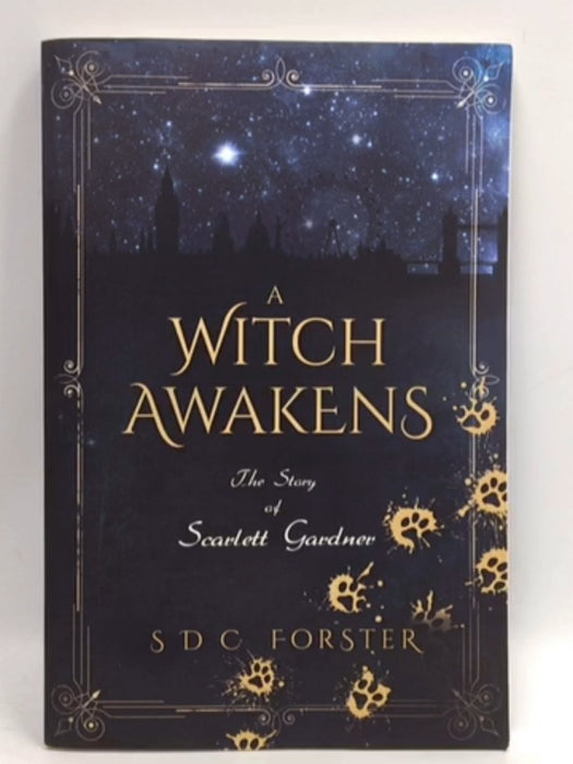 A Witch Awakens - S D C Forster; 