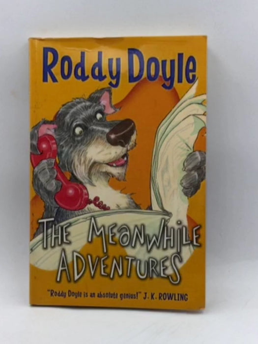 The Meanwhile Adventures - Roddy Doyle; 