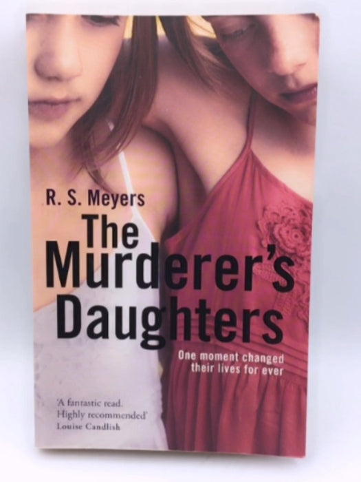 The Murderer's Daughters - Randy Susan Meyers; 