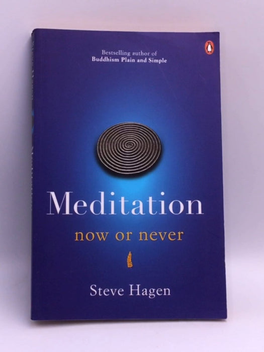 Meditation Now Or Never - Steve Hagen; 