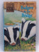 Badgers by the Bridge - Lucy Daniels