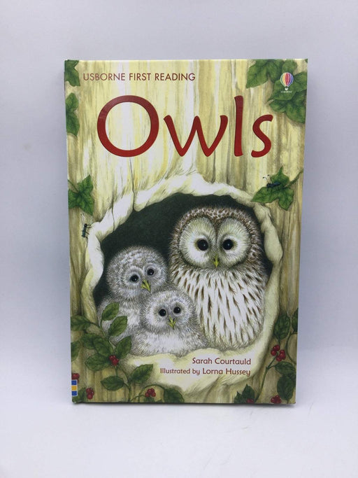 Owls - Sarah Courtauld; Lorna Hussey; 