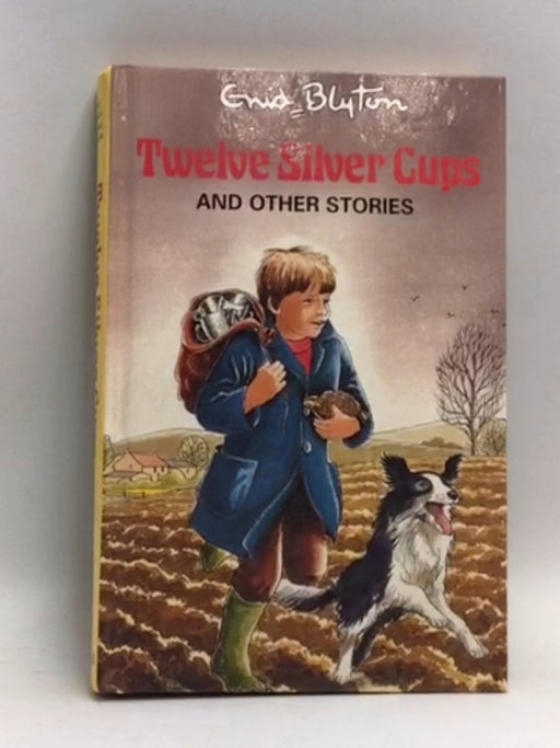 Twelve Silver Cups and Other Stories - Enid Blyton; 