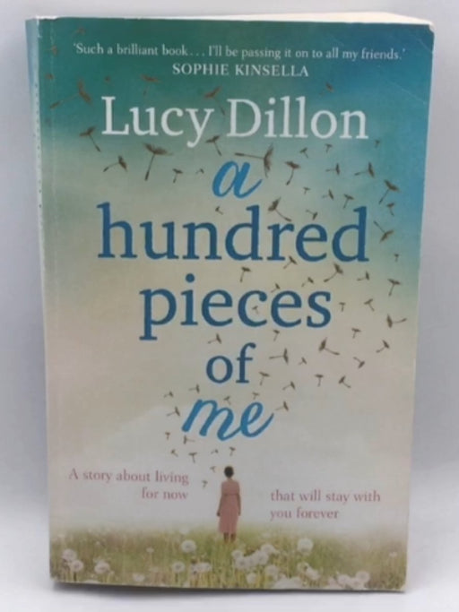 A Hundred Pieces of Me - Lucy Dillon; 