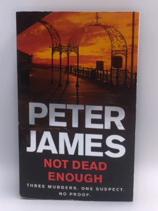 Not Dead Enough - James, Peter; 