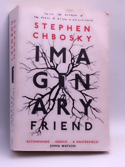 Imaginary Friend: Perks of Being a Wallflower's Stephen Chbosky