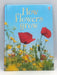 How Flowers Grow - Emma Helbrough; 