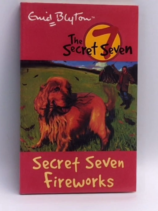 Secret Seven fireworks - Enid Blyton