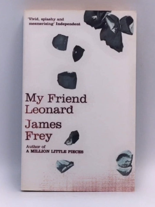 My Friend Leonard - James Frey; 