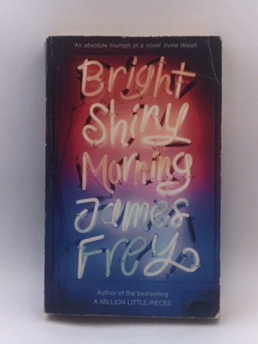 Bright Shiny Morning - James Frey