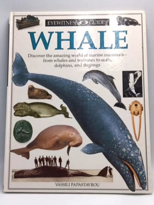 Whale - Vassili Papastavrou; 