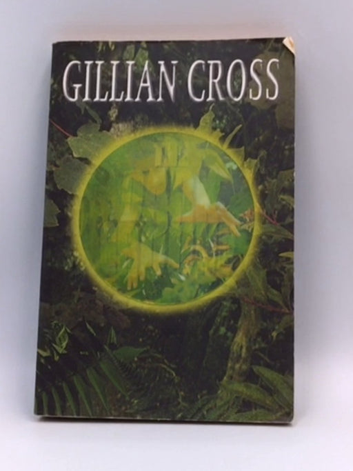 The Dark Ground - Gillian Cross; 