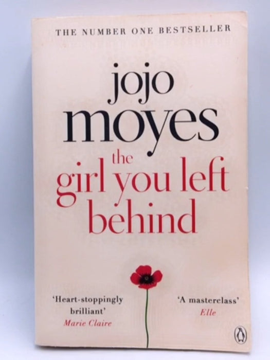 The Girl You Left Behind - Jojo Moyes; 