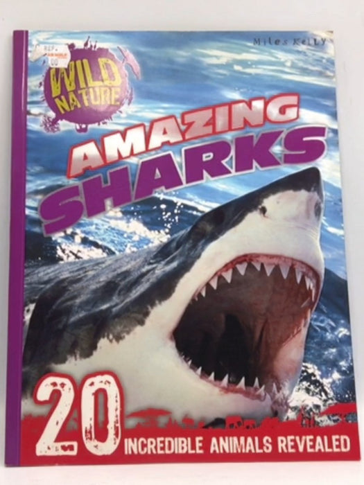 Amazing Sharks - Belinda Gallagher; 