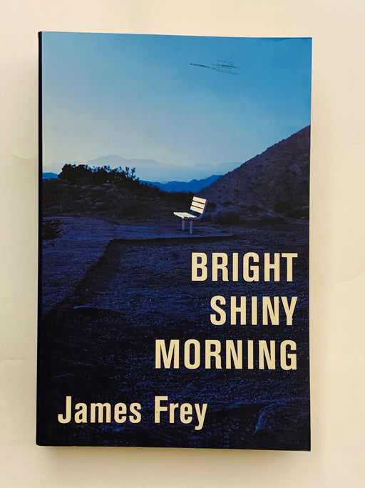 Bright Shiny Morning Intl Online Book Store – Bookends