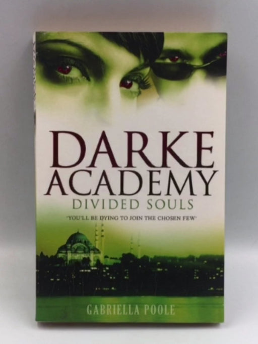 Divided Souls Online Book Store – Bookends