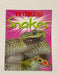 Snakes Online Book Store – Bookends